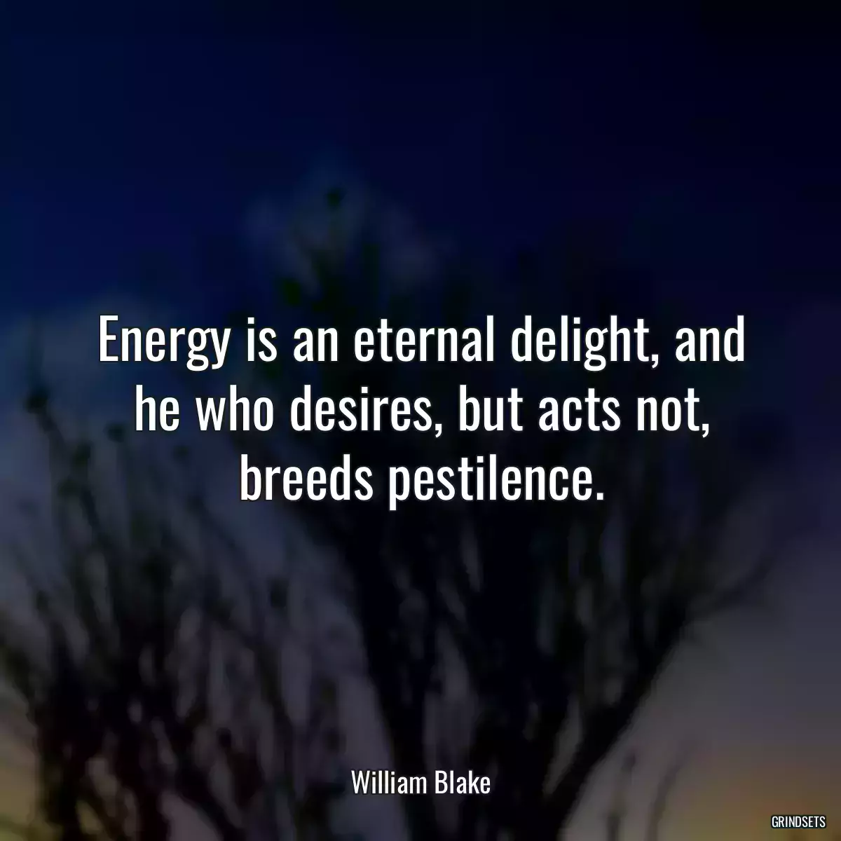 Energy is an eternal delight, and he who desires, but acts not, breeds pestilence.