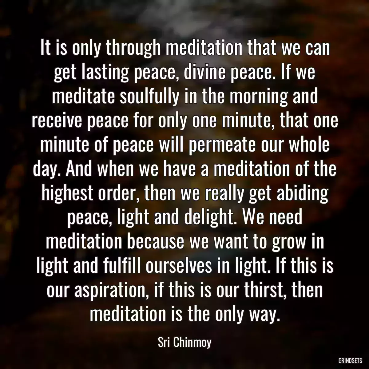 It is only through meditation that we can get lasting peace, divine peace. If we meditate soulfully in the morning and receive peace for only one minute, that one minute of peace will permeate our whole day. And when we have a meditation of the highest order, then we really get abiding peace, light and delight. We need meditation because we want to grow in light and fulfill ourselves in light. If this is our aspiration, if this is our thirst, then meditation is the only way.