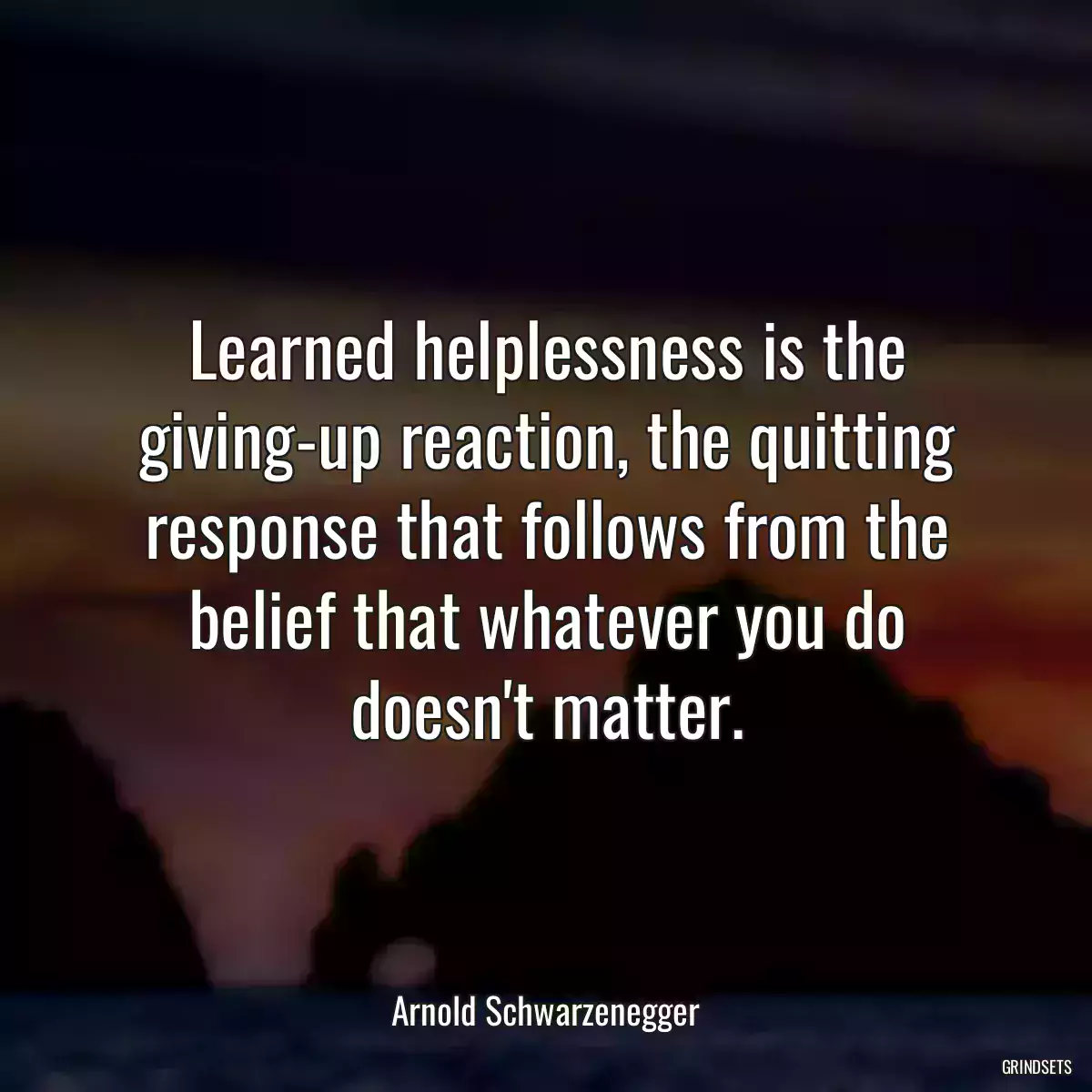 Learned helplessness is the giving-up reaction, the quitting response that follows from the belief that whatever you do doesn\'t matter.