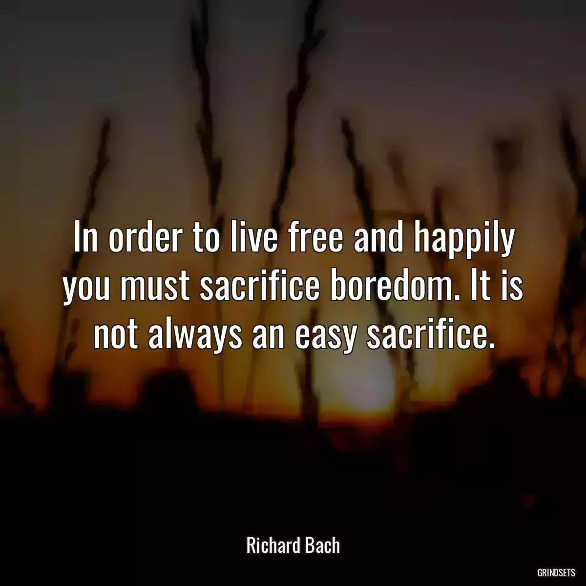 In order to live free and happily you must sacrifice boredom. It is not always an easy sacrifice.