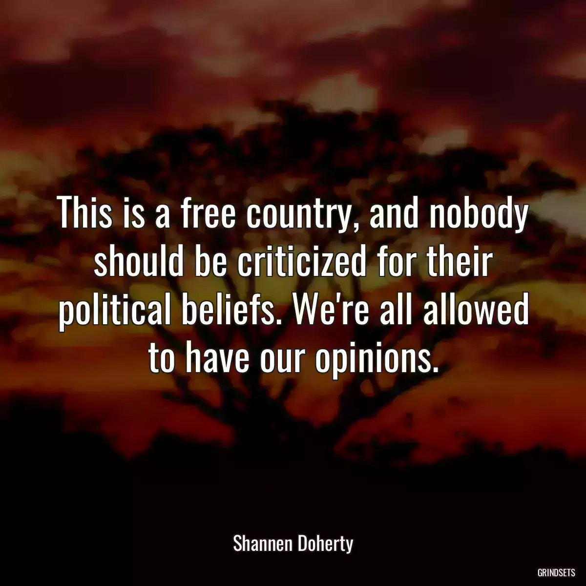 This is a free country, and nobody should be criticized for their political beliefs. We\'re all allowed to have our opinions.