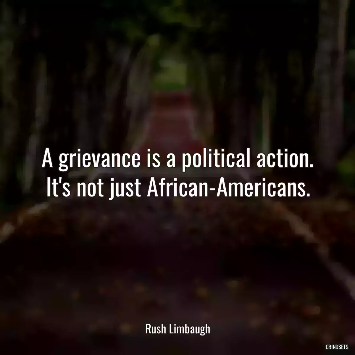 A grievance is a political action. It\'s not just African-Americans.