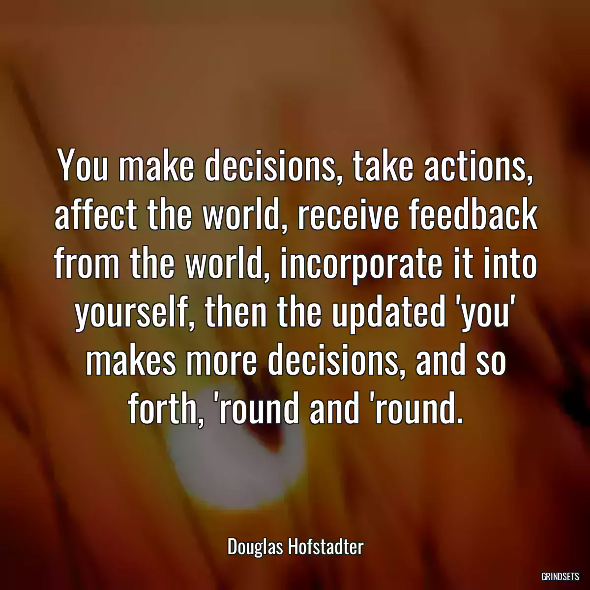 You make decisions, take actions, affect the world, receive feedback from the world, incorporate it into yourself, then the updated \'you\' makes more decisions, and so forth, \'round and \'round.