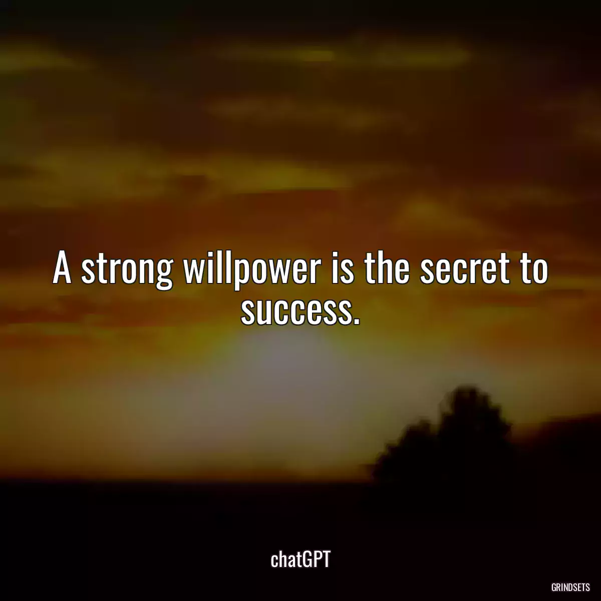 A strong willpower is the secret to success.