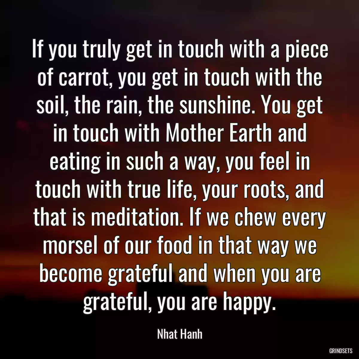 If you truly get in touch with a piece of carrot, you get in touch with the soil, the rain, the sunshine. You get in touch with Mother Earth and eating in such a way, you feel in touch with true life, your roots, and that is meditation. If we chew every morsel of our food in that way we become grateful and when you are grateful, you are happy.