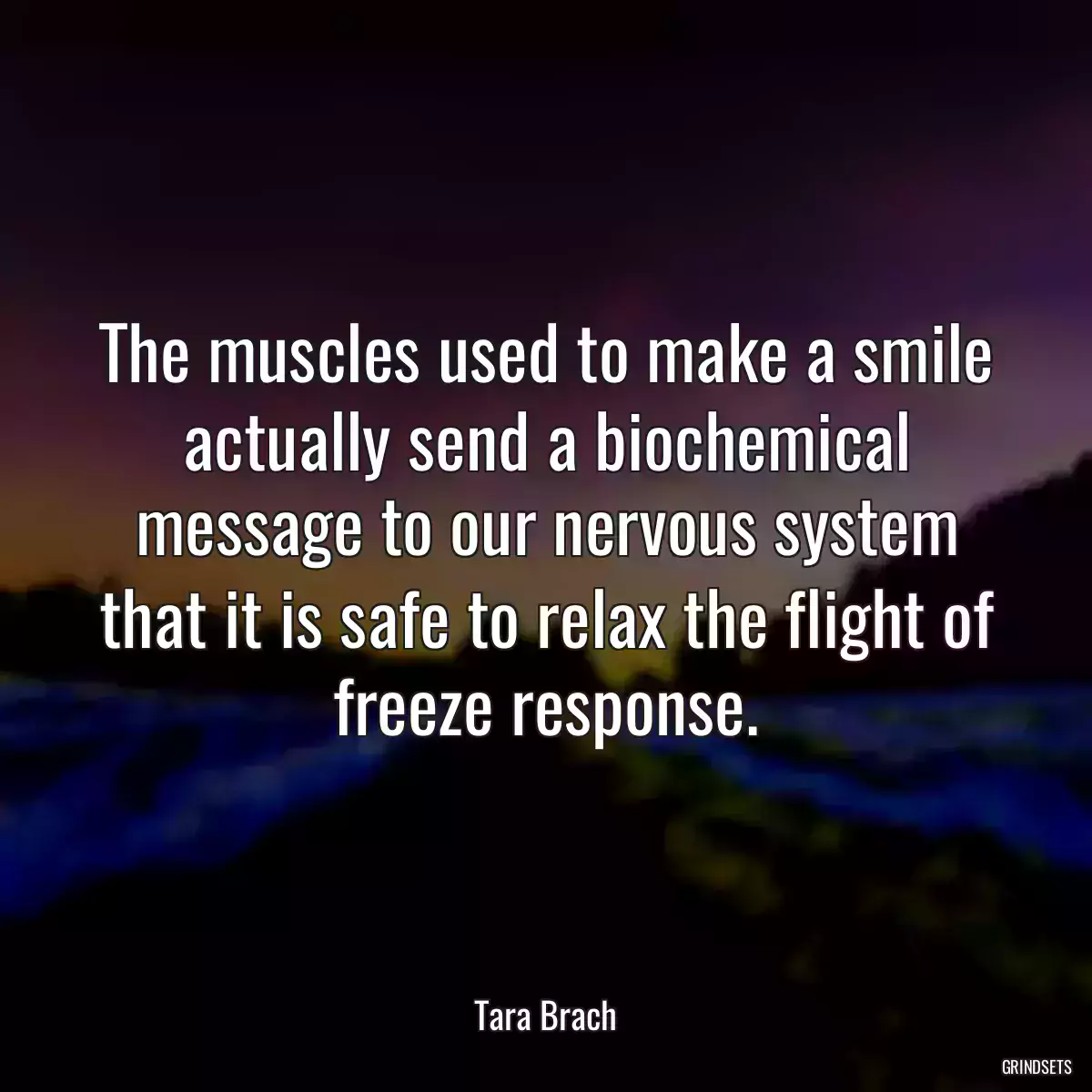 The muscles used to make a smile actually send a biochemical message to our nervous system that it is safe to relax the flight of freeze response.