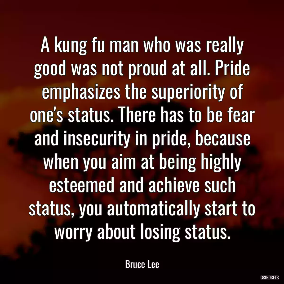 A kung fu man who was really good was not proud at all. Pride emphasizes the superiority of one\'s status. There has to be fear and insecurity in pride, because when you aim at being highly esteemed and achieve such status, you automatically start to worry about losing status.