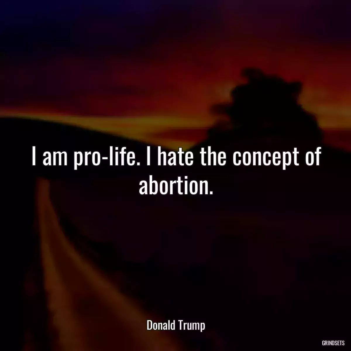 I am pro-life. I hate the concept of abortion.