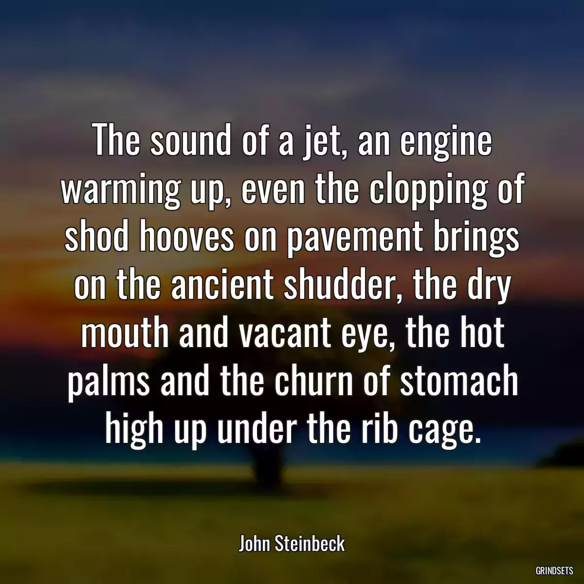 The sound of a jet, an engine warming up, even the clopping of shod hooves on pavement brings on the ancient shudder, the dry mouth and vacant eye, the hot palms and the churn of stomach high up under the rib cage.