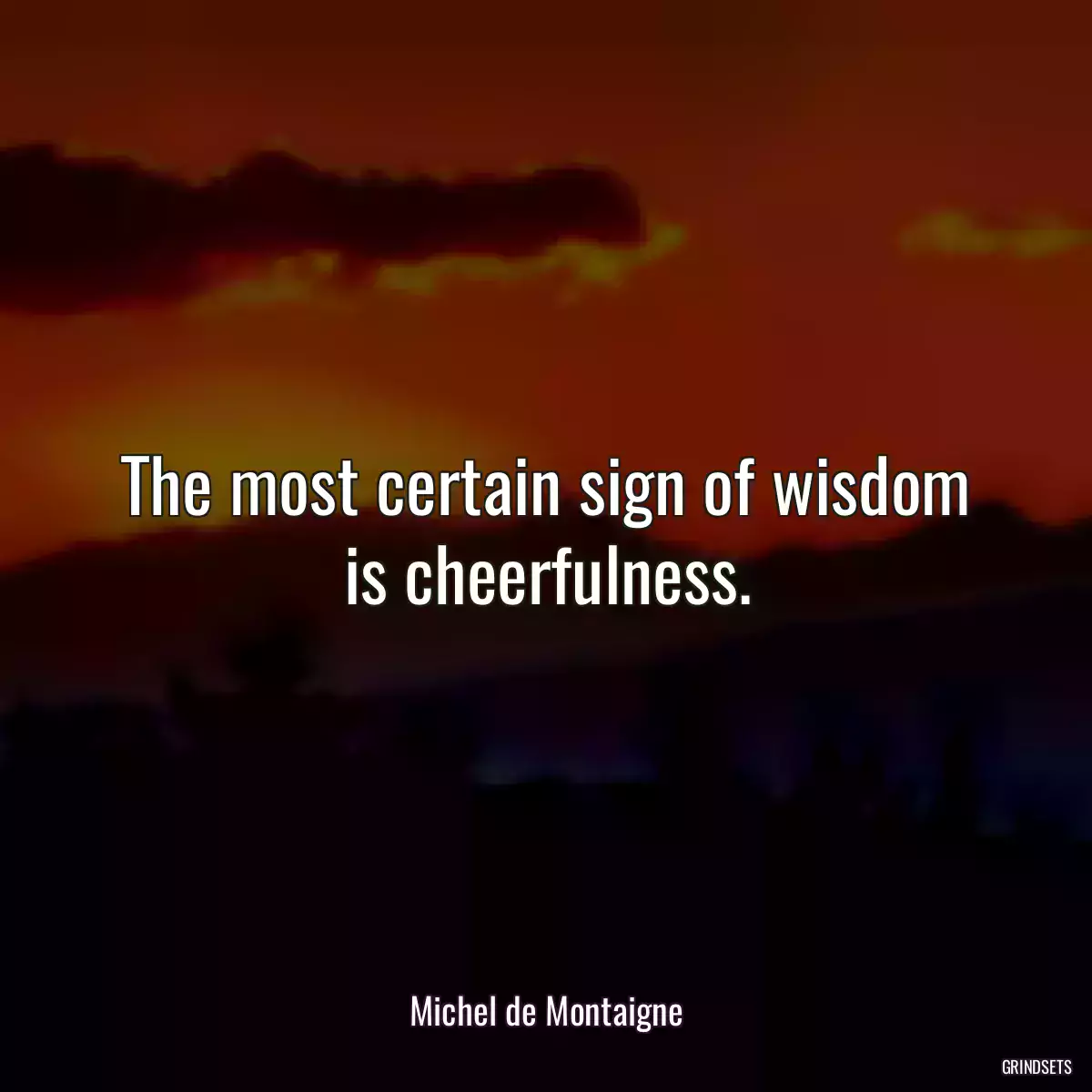 The most certain sign of wisdom is cheerfulness.