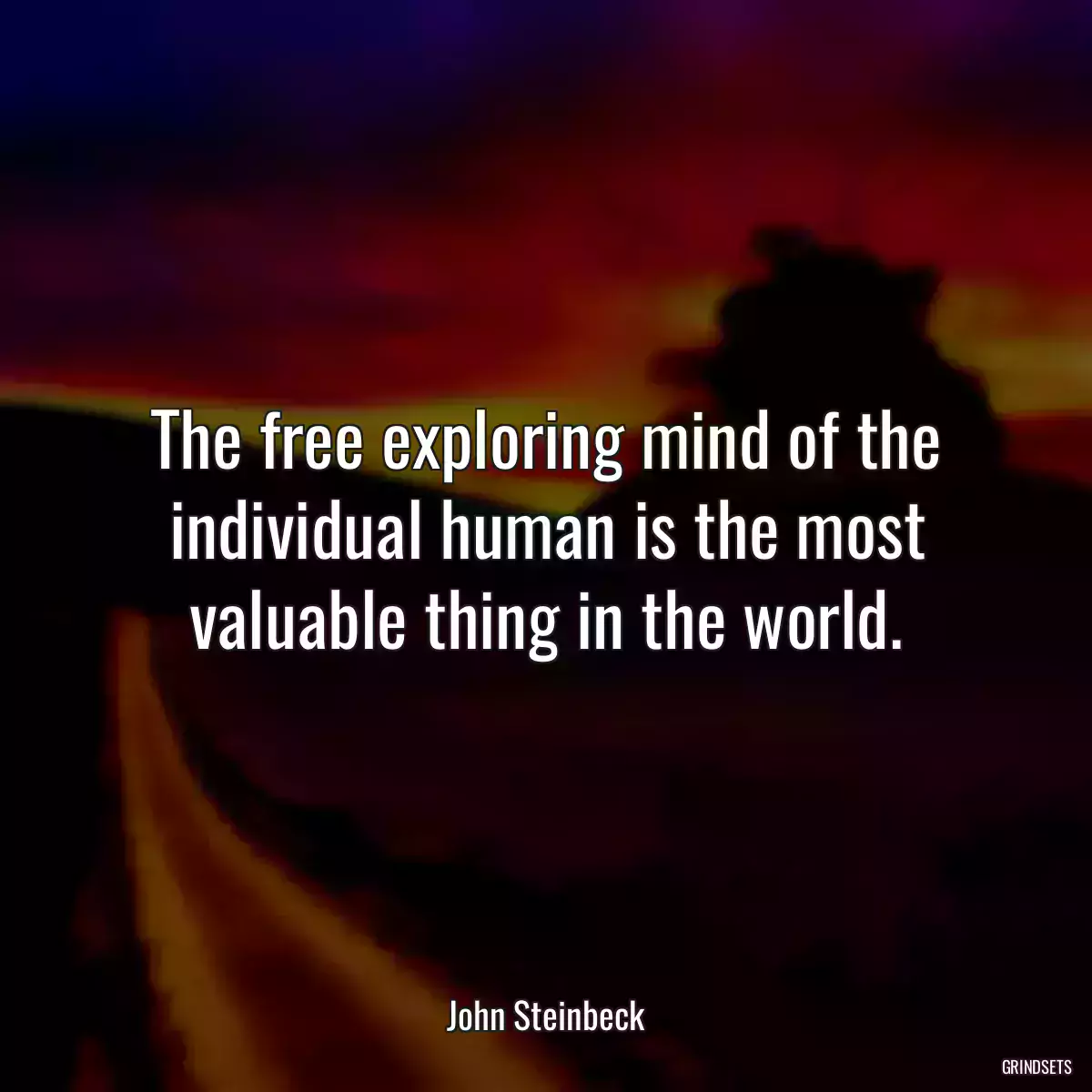 The free exploring mind of the individual human is the most valuable thing in the world.