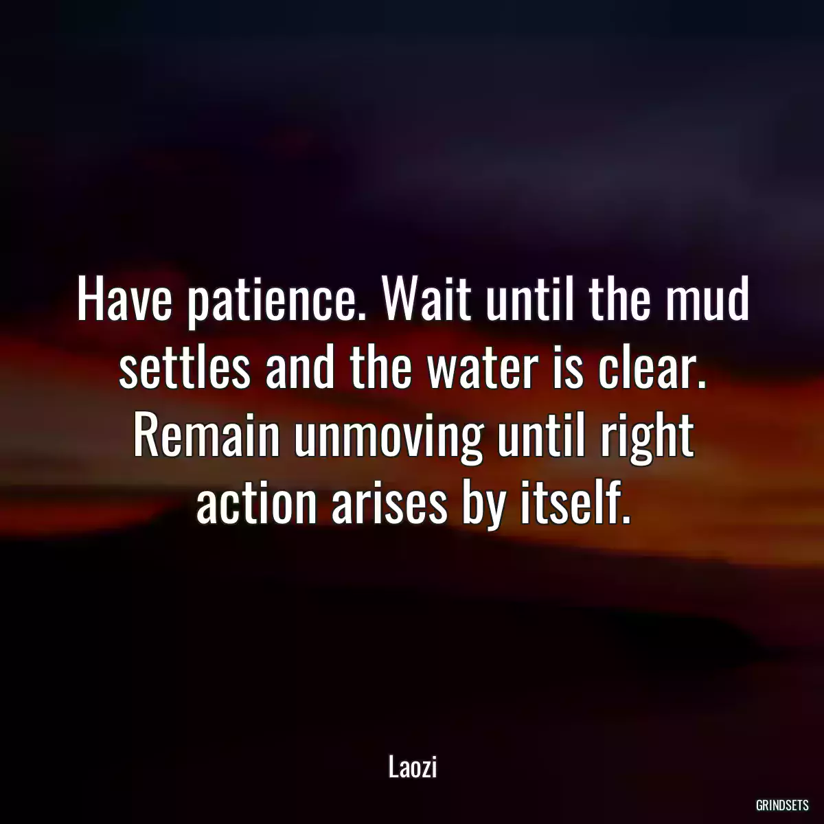 Have patience. Wait until the mud settles and the water is clear. Remain unmoving until right action arises by itself.