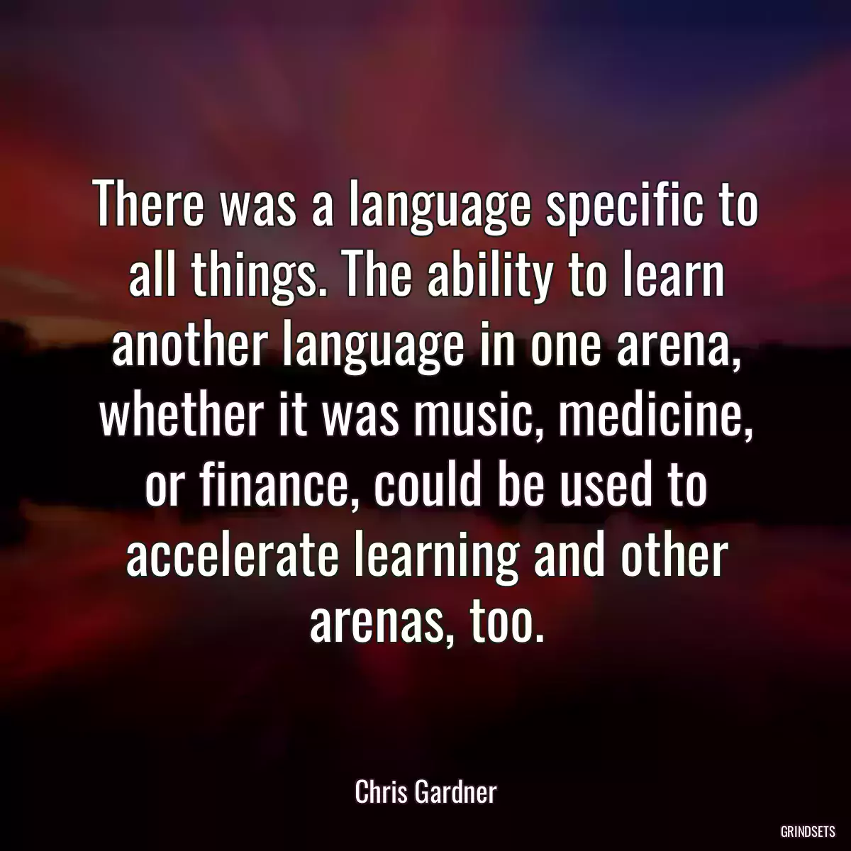 There was a language specific to all things. The ability to learn another language in one arena, whether it was music, medicine, or finance, could be used to accelerate learning and other arenas, too.