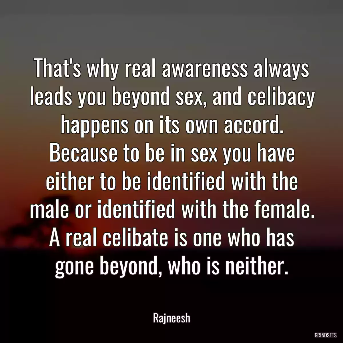 That\'s why real awareness always leads you beyond sex, and celibacy happens on its own accord. Because to be in sex you have either to be identified with the male or identified with the female. A real celibate is one who has gone beyond, who is neither.