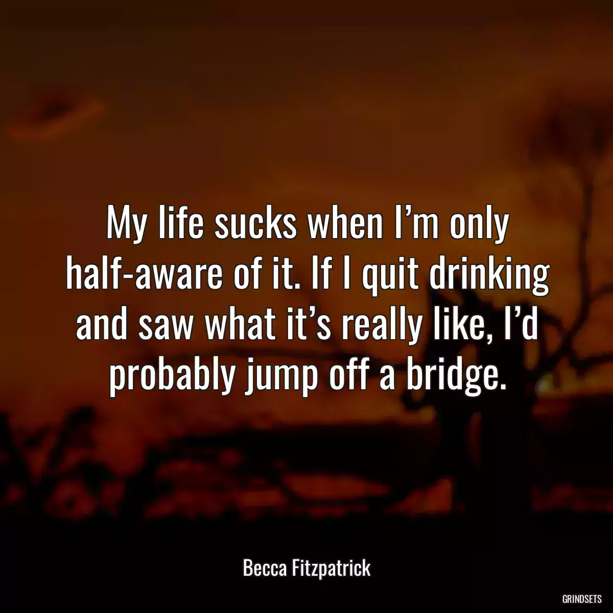 My life sucks when I’m only half-aware of it. If I quit drinking and saw what it’s really like, I’d probably jump off a bridge.