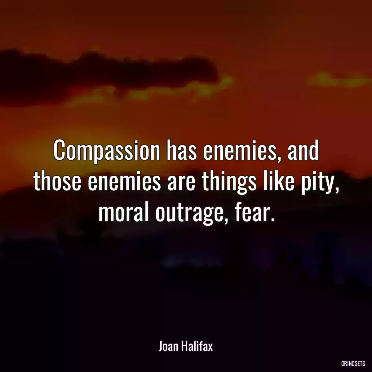 Compassion has enemies, and those enemies are things like pity, moral outrage, fear.