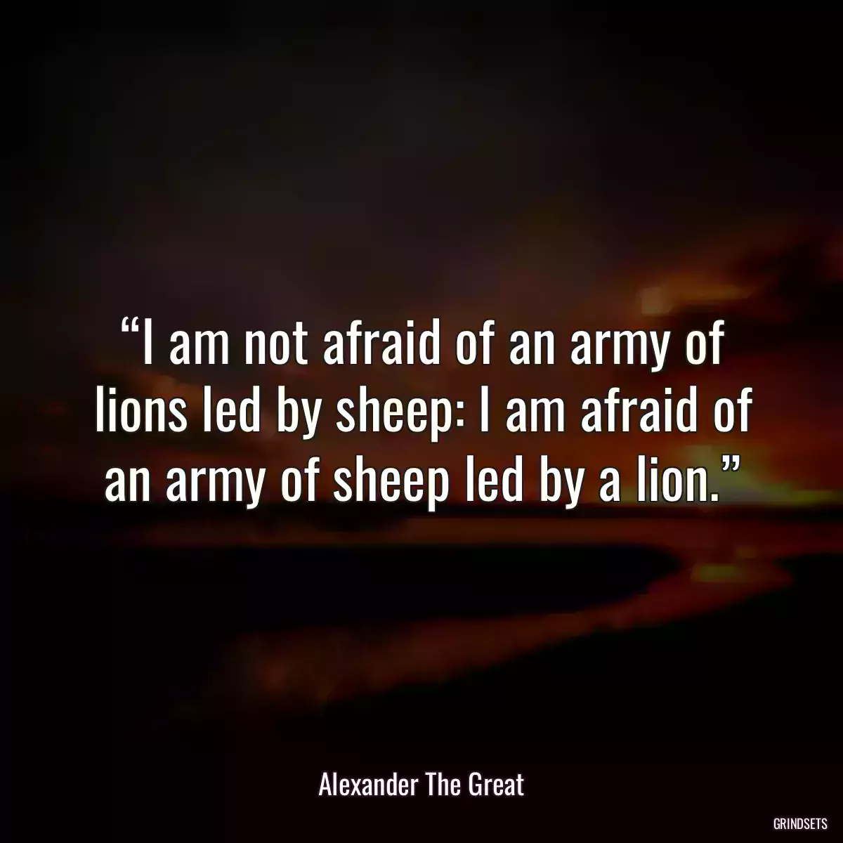 “I am not afraid of an army of lions led by sheep: I am afraid of an army of sheep led by a lion.”