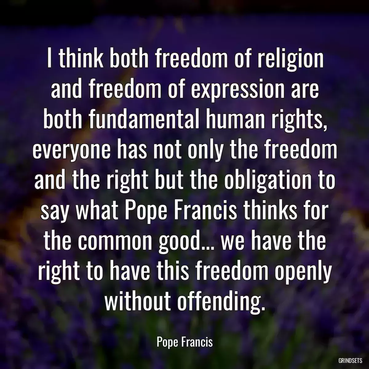 I think both freedom of religion and freedom of expression are both fundamental human rights, everyone has not only the freedom and the right but the obligation to say what Pope Francis thinks for the common good... we have the right to have this freedom openly without offending.