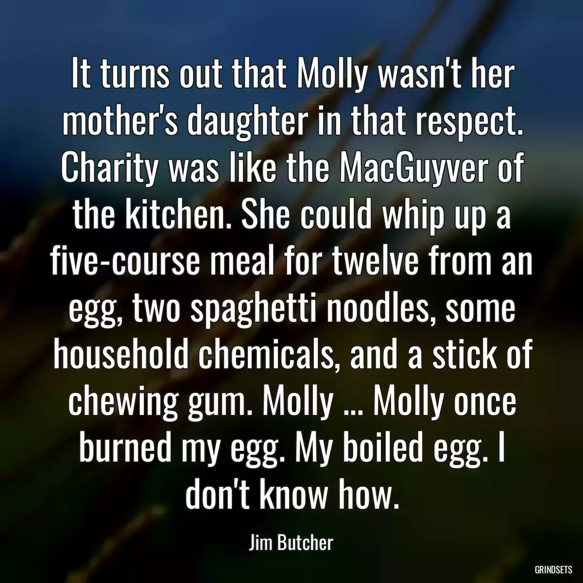 It turns out that Molly wasn\'t her mother\'s daughter in that respect. Charity was like the MacGuyver of the kitchen. She could whip up a five-course meal for twelve from an egg, two spaghetti noodles, some household chemicals, and a stick of chewing gum. Molly ... Molly once burned my egg. My boiled egg. I don\'t know how.