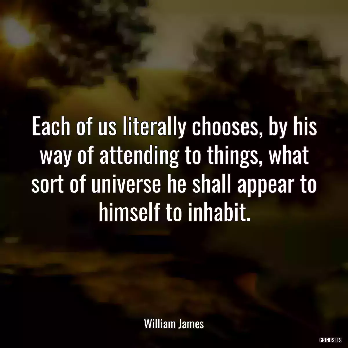 Each of us literally chooses, by his way of attending to things, what sort of universe he shall appear to himself to inhabit.