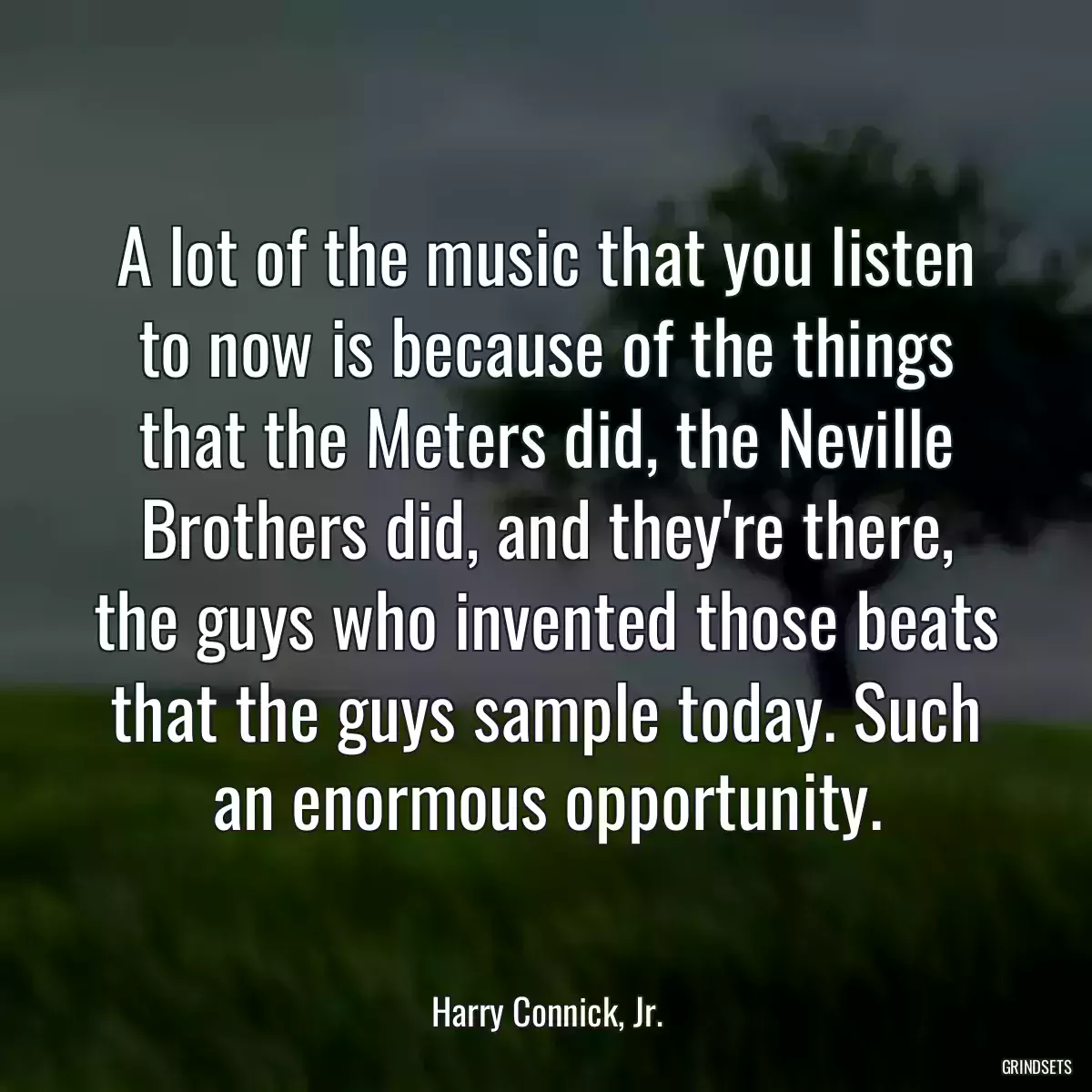 A lot of the music that you listen to now is because of the things that the Meters did, the Neville Brothers did, and they\'re there, the guys who invented those beats that the guys sample today. Such an enormous opportunity.