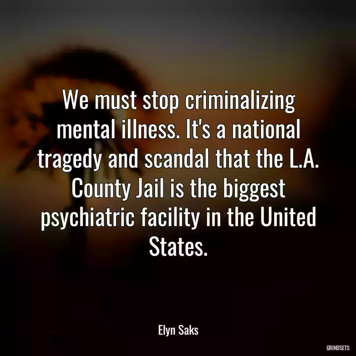 We must stop criminalizing mental illness. It\'s a national tragedy and scandal that the L.A. County Jail is the biggest psychiatric facility in the United States.