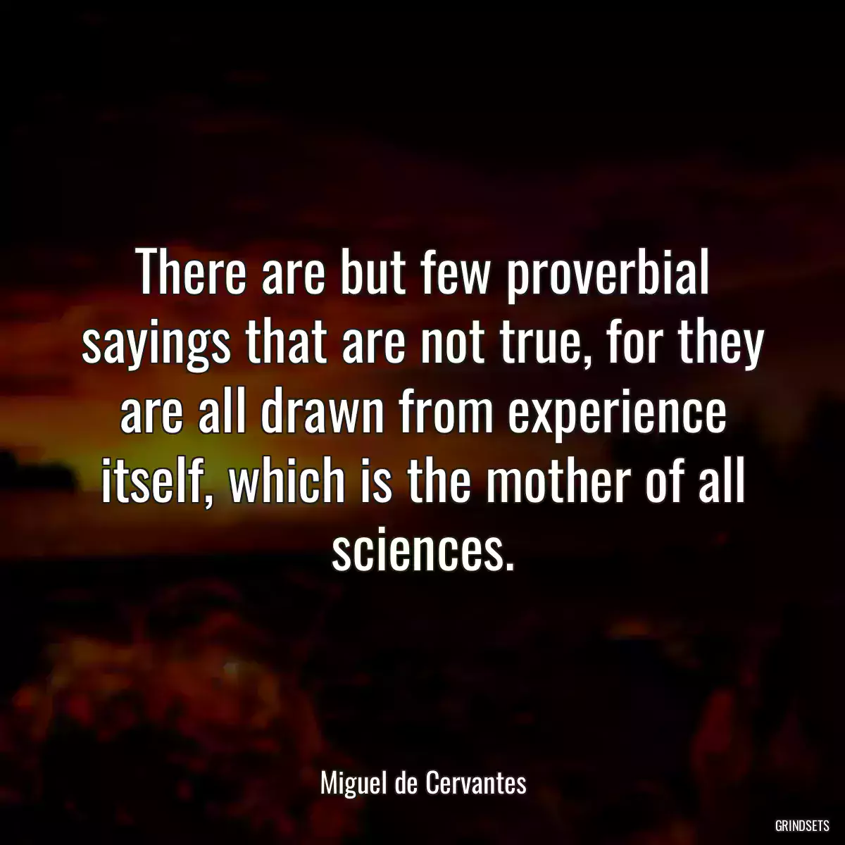 There are but few proverbial sayings that are not true, for they are all drawn from experience itself, which is the mother of all sciences.