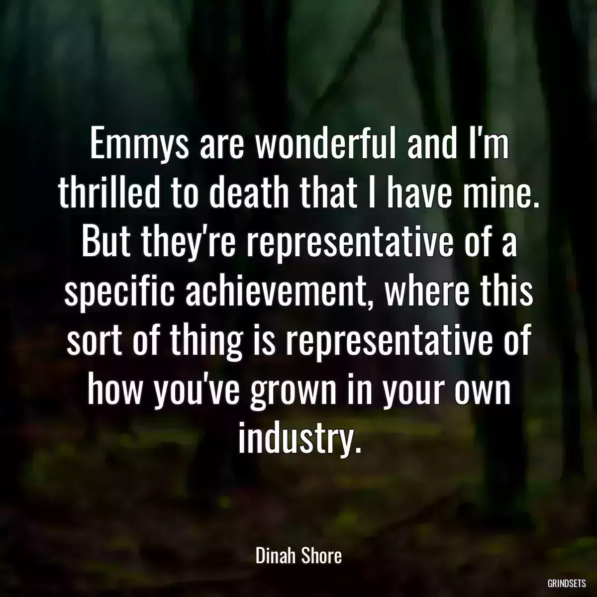 Emmys are wonderful and I\'m thrilled to death that I have mine. But they\'re representative of a specific achievement, where this sort of thing is representative of how you\'ve grown in your own industry.