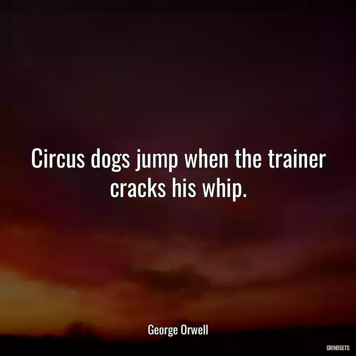 Circus dogs jump when the trainer cracks his whip.