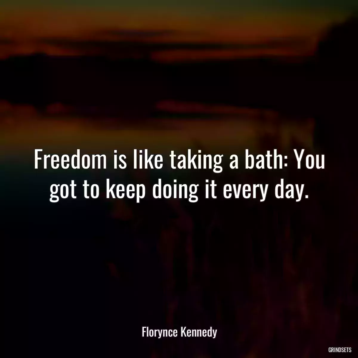 Freedom is like taking a bath: You got to keep doing it every day.