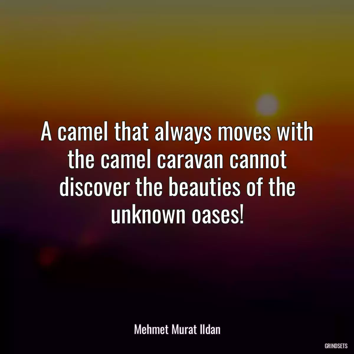 A camel that always moves with the camel caravan cannot discover the beauties of the unknown oases!