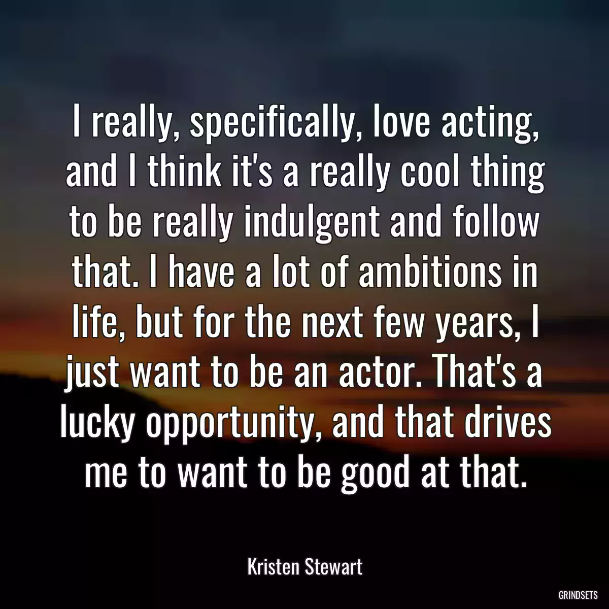 I really, specifically, love acting, and I think it\'s a really cool thing to be really indulgent and follow that. I have a lot of ambitions in life, but for the next few years, I just want to be an actor. That\'s a lucky opportunity, and that drives me to want to be good at that.