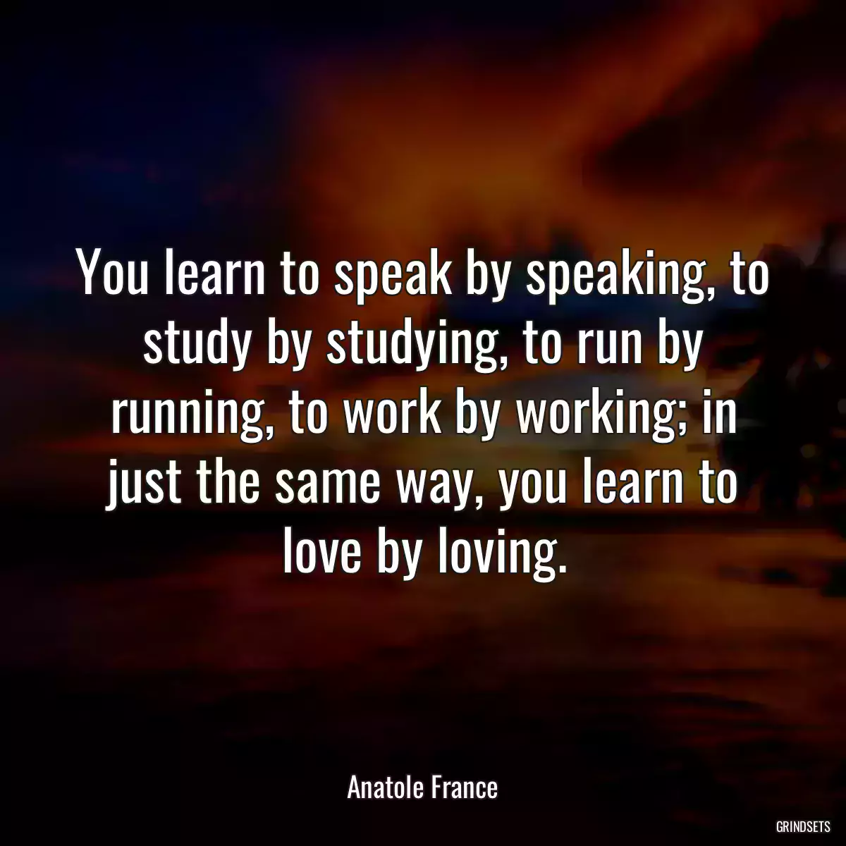 You learn to speak by speaking, to study by studying, to run by running, to work by working; in just the same way, you learn to love by loving.