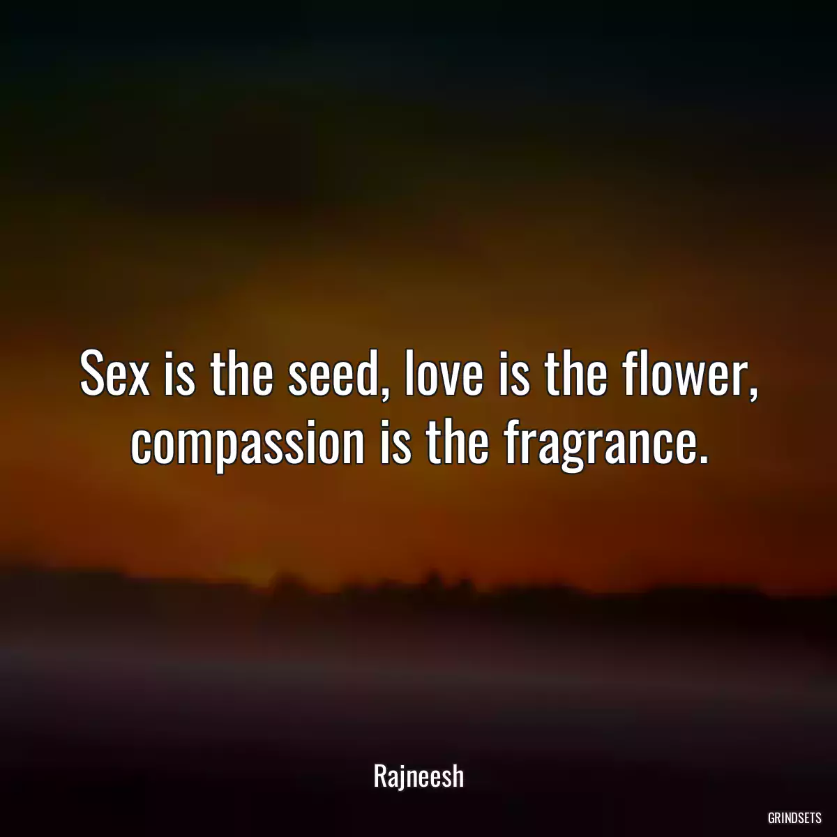 Sex is the seed, love is the flower, compassion is the fragrance.