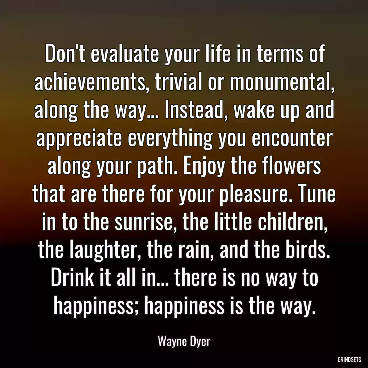 Don\'t evaluate your life in terms of achievements, trivial or monumental, along the way... Instead, wake up and appreciate everything you encounter along your path. Enjoy the flowers that are there for your pleasure. Tune in to the sunrise, the little children, the laughter, the rain, and the birds. Drink it all in... there is no way to happiness; happiness is the way.