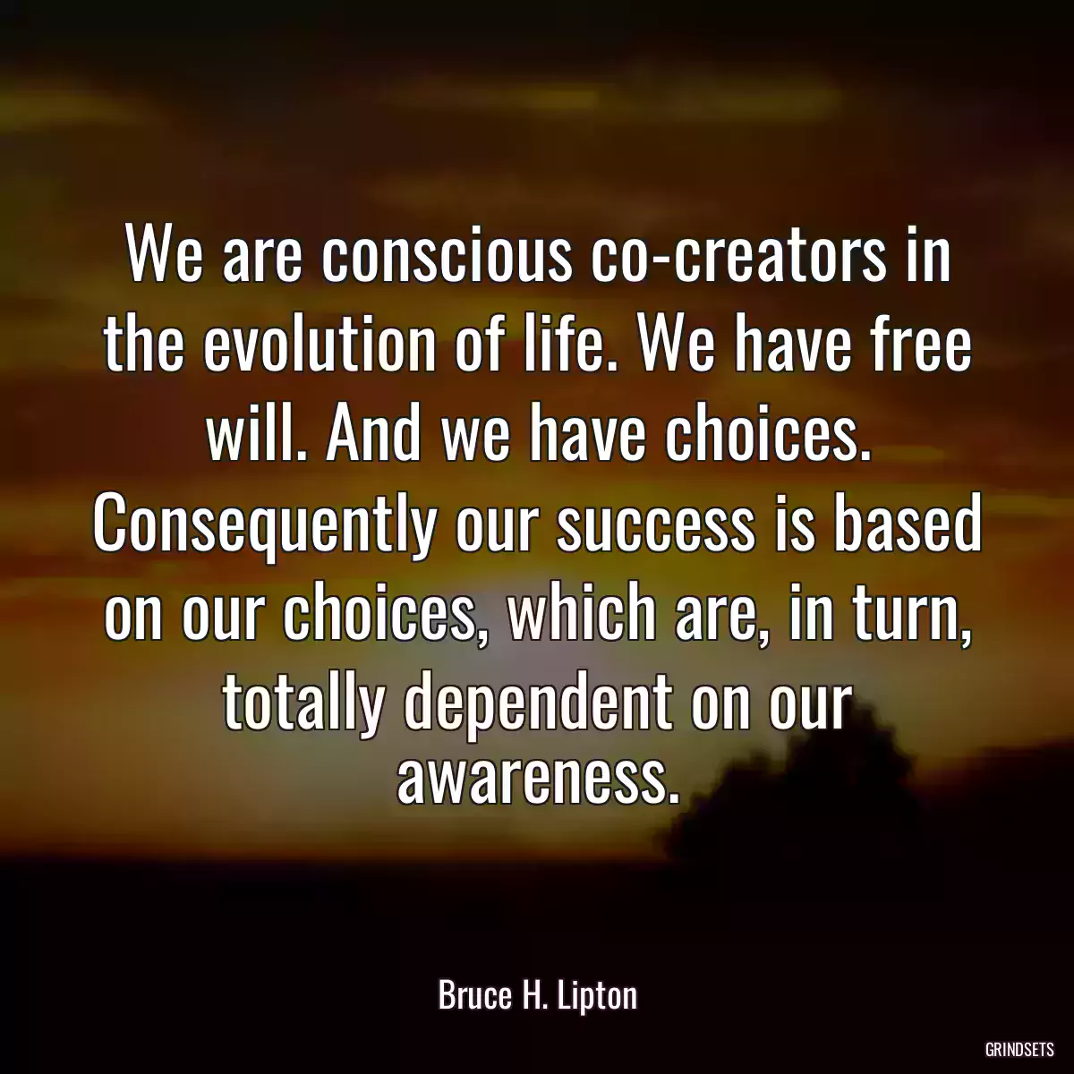 We are conscious co-creators in the evolution of life. We have free will. And we have choices. Consequently our success is based on our choices, which are, in turn, totally dependent on our awareness.