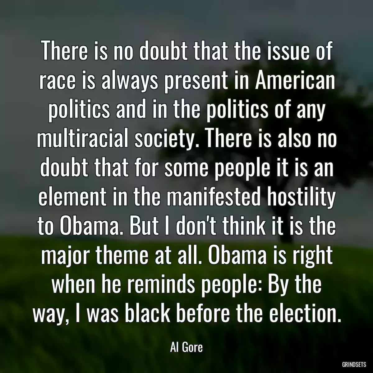 There is no doubt that the issue of race is always present in American politics and in the politics of any multiracial society. There is also no doubt that for some people it is an element in the manifested hostility to Obama. But I don\'t think it is the major theme at all. Obama is right when he reminds people: By the way, I was black before the election.