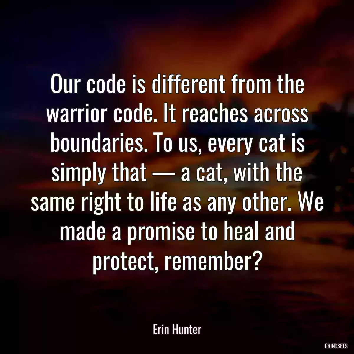 Our code is different from the warrior code. It reaches across boundaries. To us, every cat is simply that — a cat, with the same right to life as any other. We made a promise to heal and protect, remember?