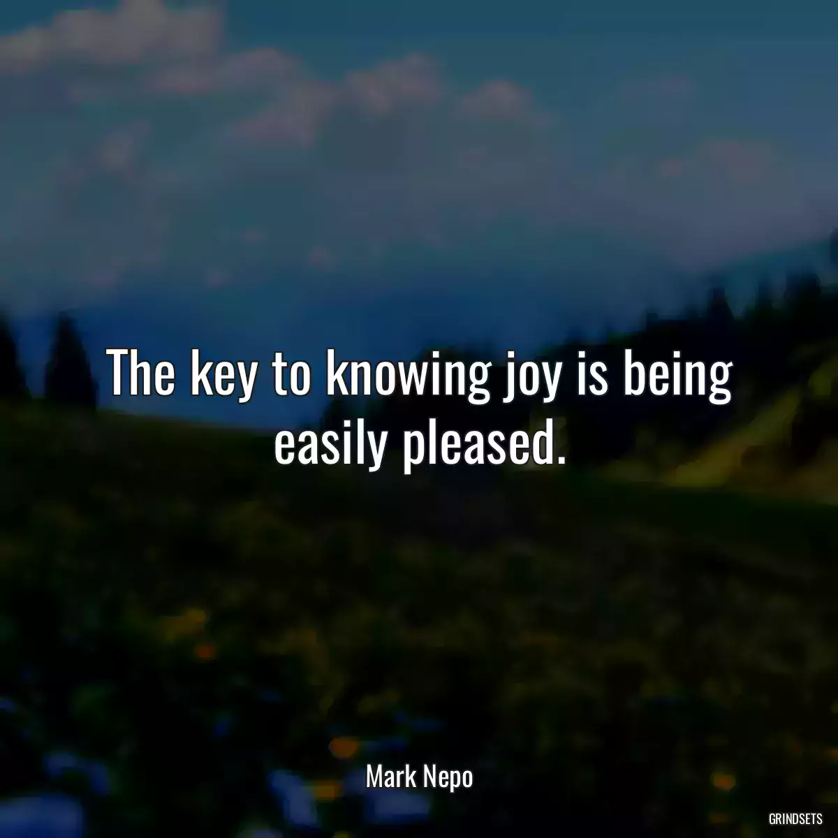 The key to knowing joy is being easily pleased.