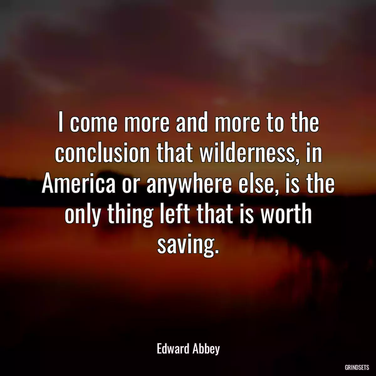 I come more and more to the conclusion that wilderness, in America or anywhere else, is the only thing left that is worth saving.