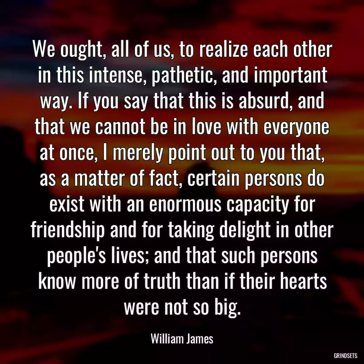 We ought, all of us, to realize each other in this intense, pathetic, and important way. If you say that this is absurd, and that we cannot be in love with everyone at once, I merely point out to you that, as a matter of fact, certain persons do exist with an enormous capacity for friendship and for taking delight in other people\'s lives; and that such persons know more of truth than if their hearts were not so big.