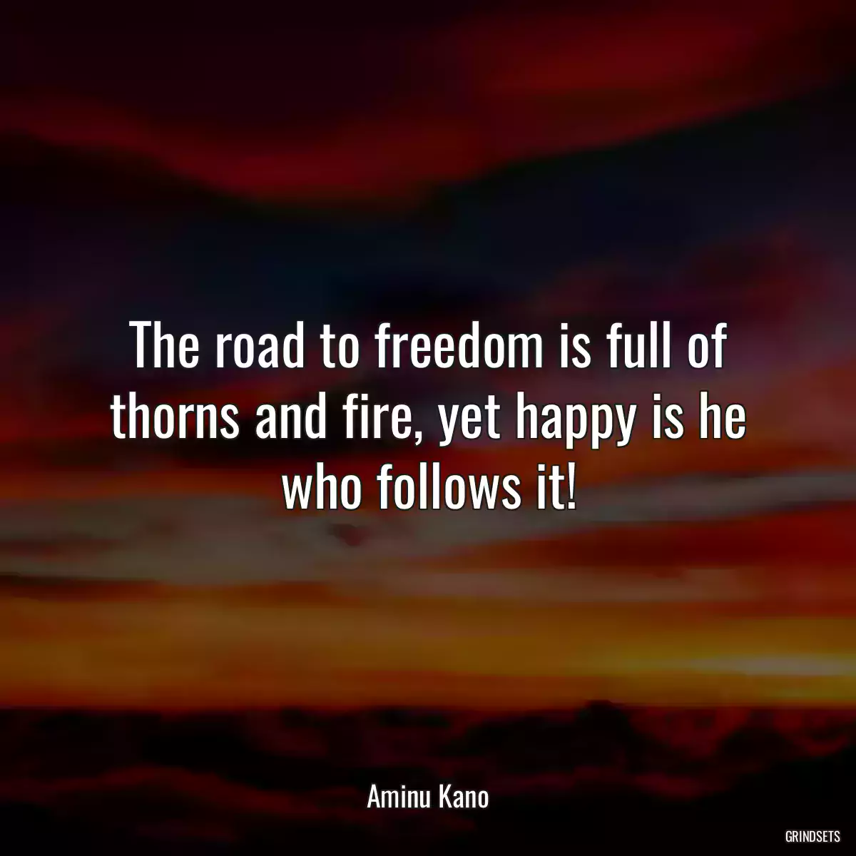 The road to freedom is full of thorns and fire, yet happy is he who follows it!