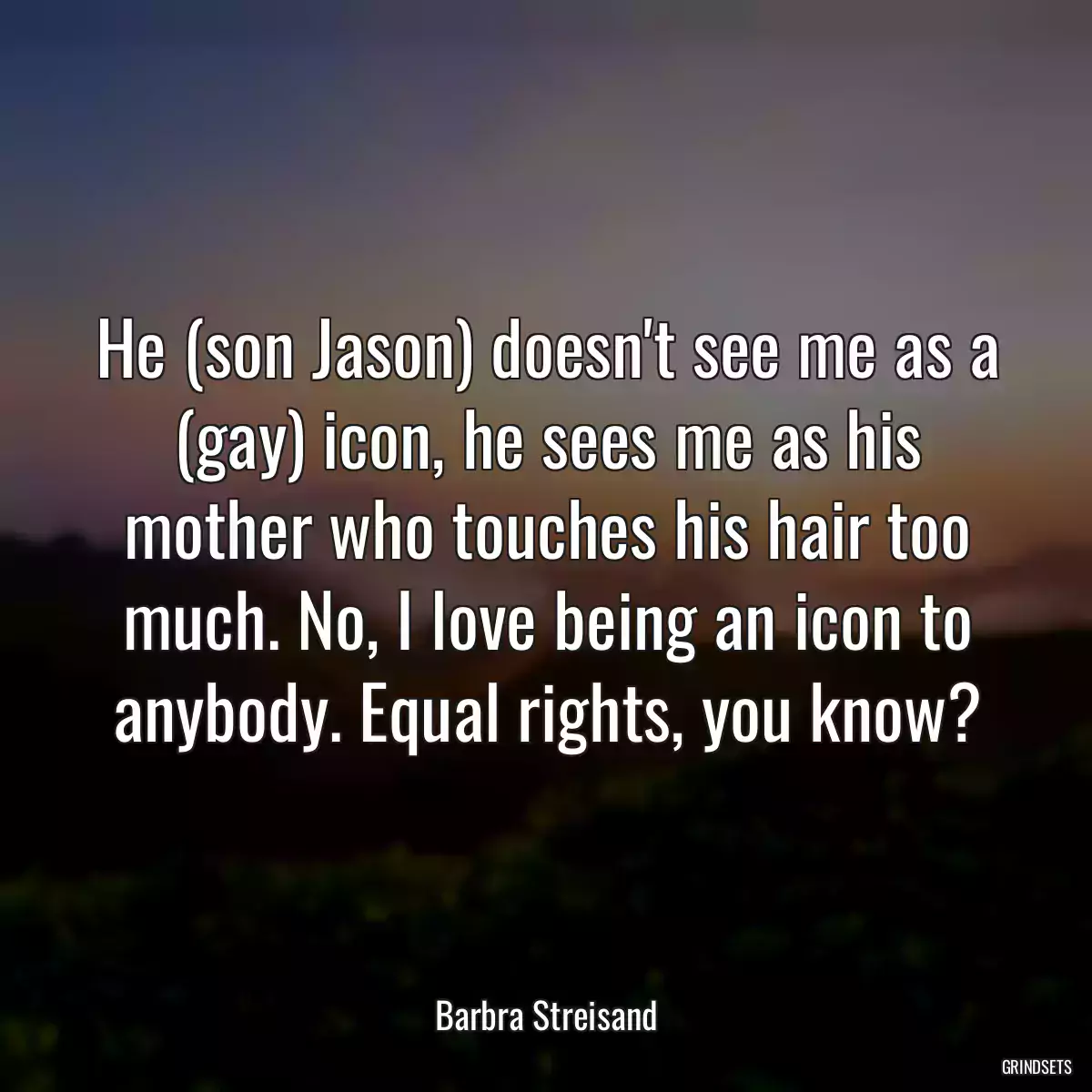 He (son Jason) doesn\'t see me as a (gay) icon, he sees me as his mother who touches his hair too much. No, I love being an icon to anybody. Equal rights, you know?