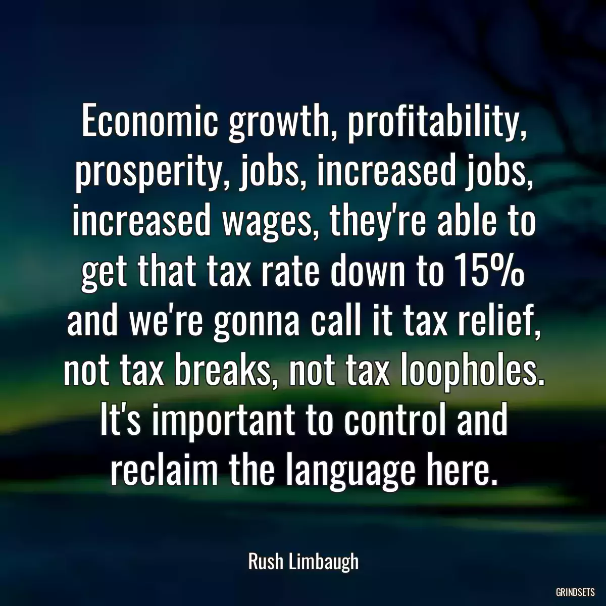 Economic growth, profitability, prosperity, jobs, increased jobs, increased wages, they\'re able to get that tax rate down to 15% and we\'re gonna call it tax relief, not tax breaks, not tax loopholes. It\'s important to control and reclaim the language here.