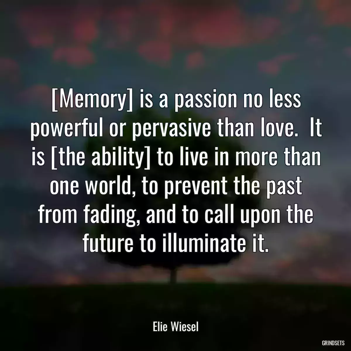 [Memory] is a passion no less powerful or pervasive than love.  It is [the ability] to live in more than one world, to prevent the past from fading, and to call upon the future to illuminate it.