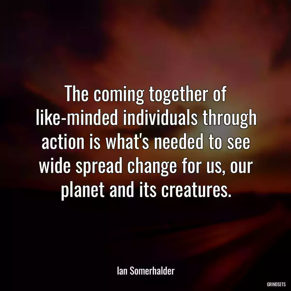 The coming together of like-minded individuals through action is what\'s needed to see wide spread change for us, our planet and its creatures.