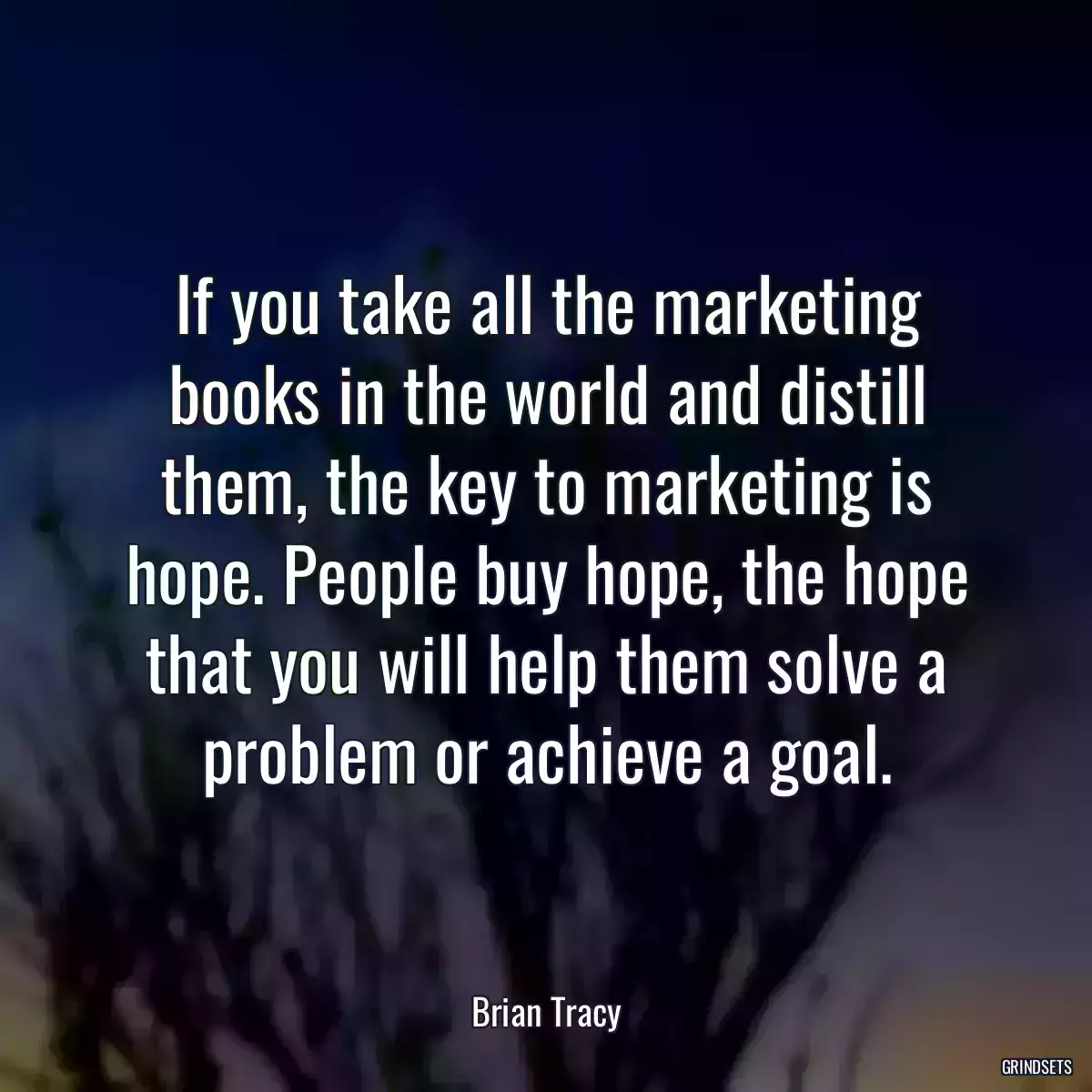 If you take all the marketing books in the world and distill them, the key to marketing is hope. People buy hope, the hope that you will help them solve a problem or achieve a goal.