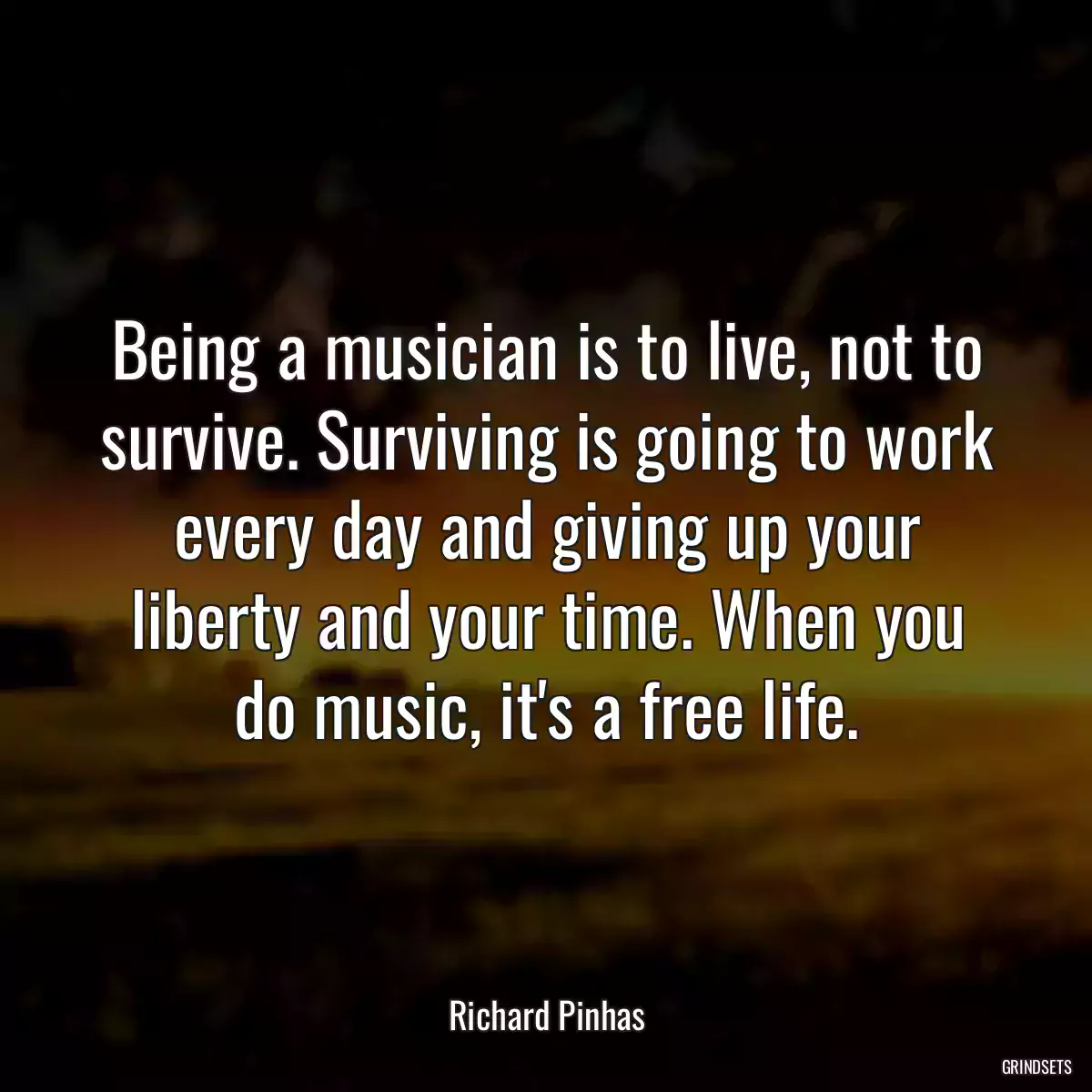 Being a musician is to live, not to survive. Surviving is going to work every day and giving up your liberty and your time. When you do music, it\'s a free life.