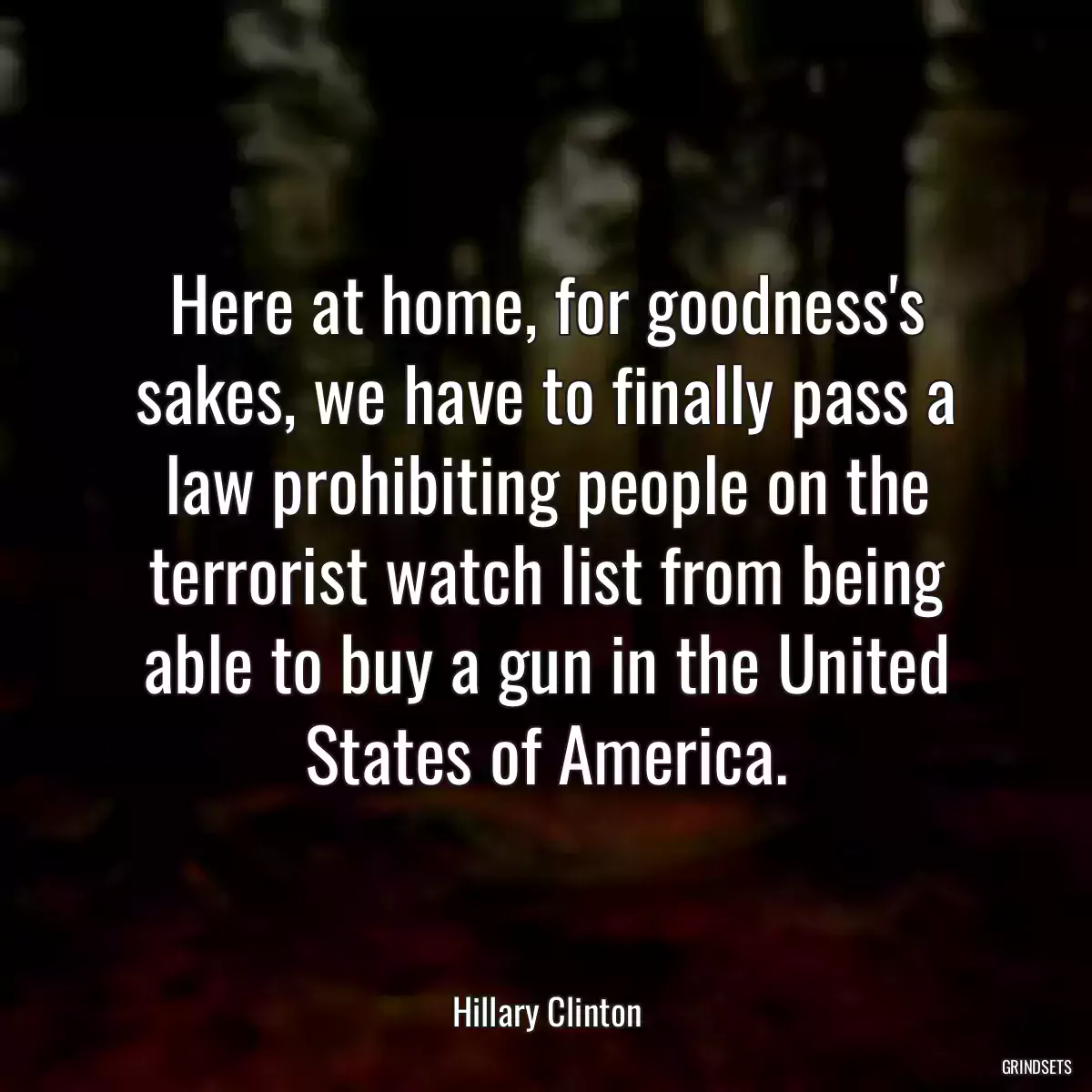 Here at home, for goodness\'s sakes, we have to finally pass a law prohibiting people on the terrorist watch list from being able to buy a gun in the United States of America.