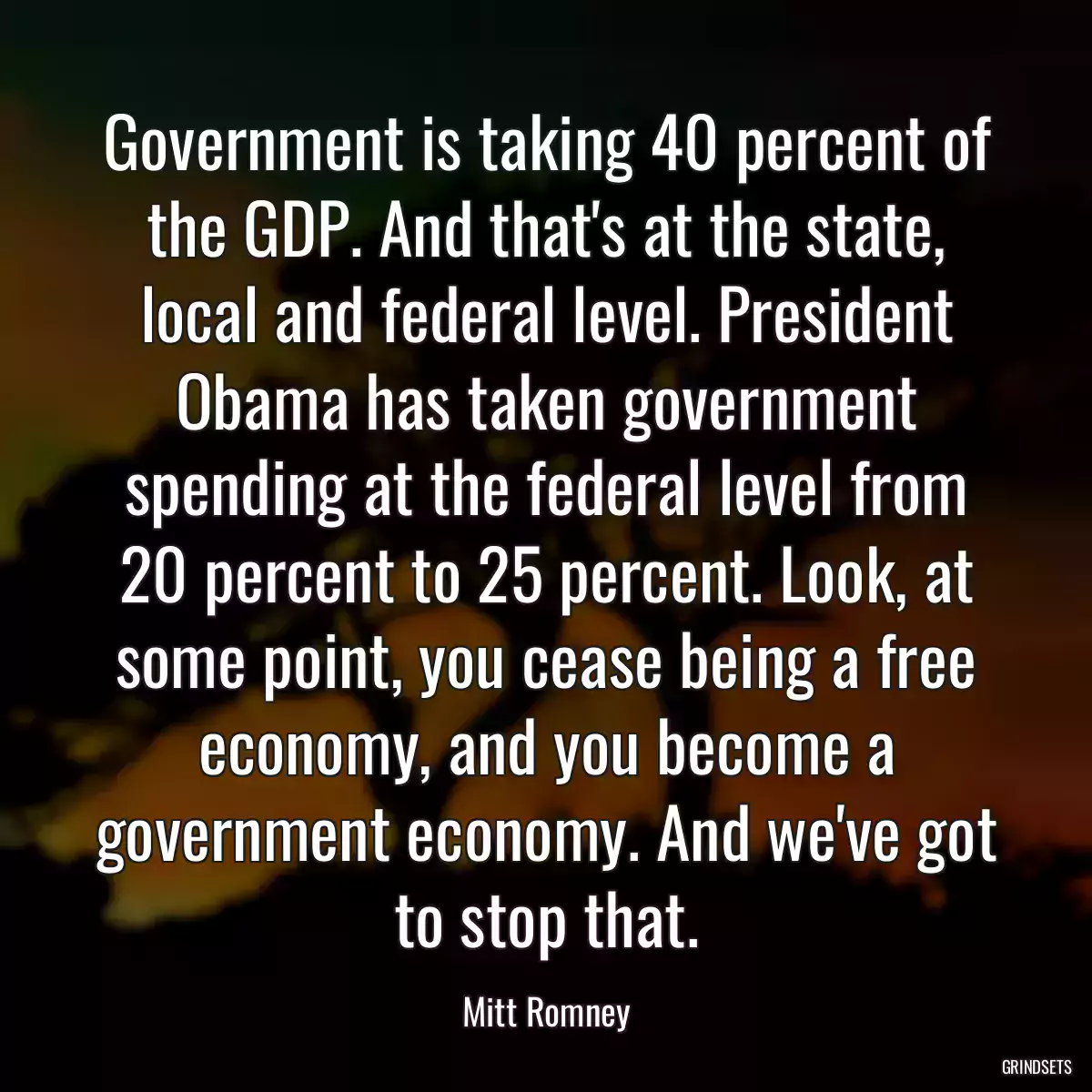 Government is taking 40 percent of the GDP. And that\'s at the state, local and federal level. President Obama has taken government spending at the federal level from 20 percent to 25 percent. Look, at some point, you cease being a free economy, and you become a government economy. And we\'ve got to stop that.